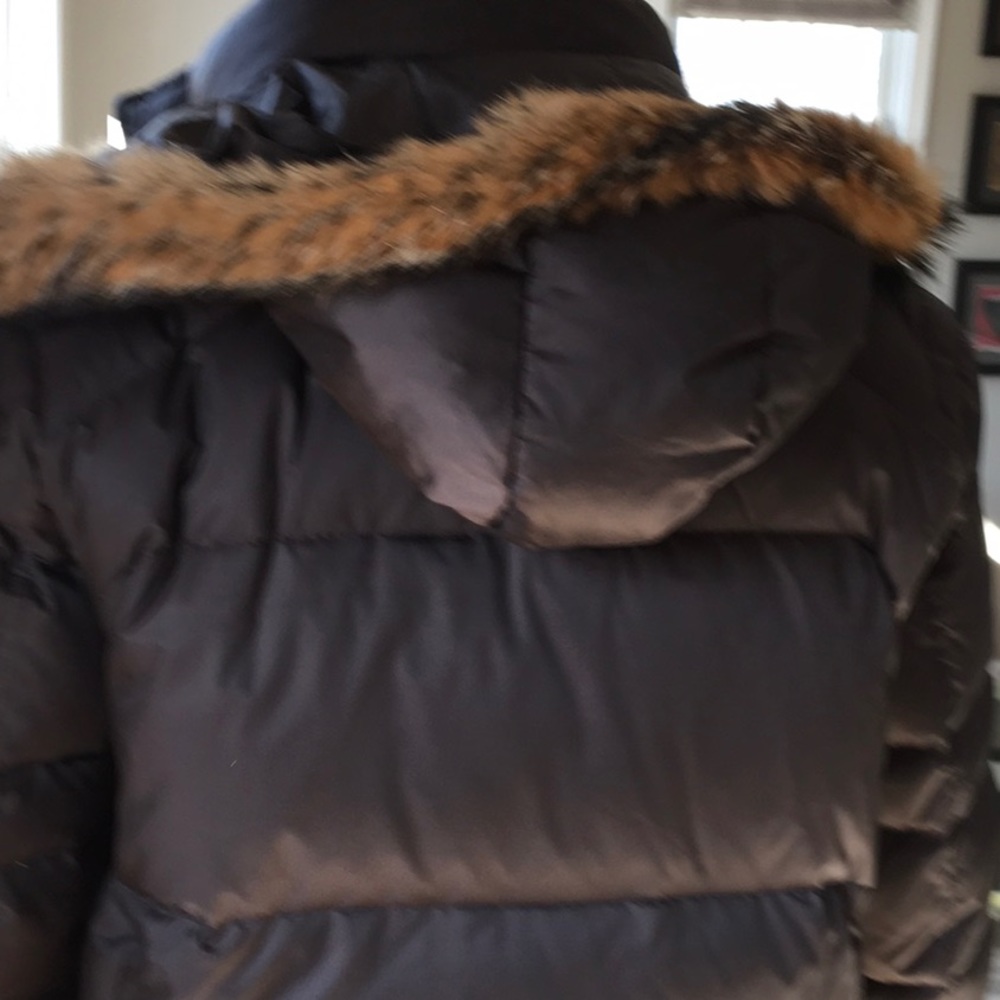 Jacket - Picture 3 of 5